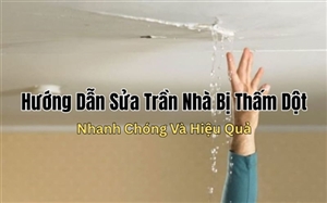 Hướng Dẫn Sửa Trần Nhà Bị Thấm Dột Nhanh Chóng Và Hiệu Quả